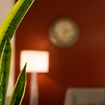 Ottocento Guest House